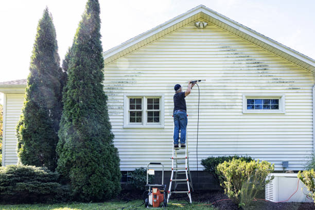 Best Sidewalk and Walkway Cleaning  in Elwood, IL