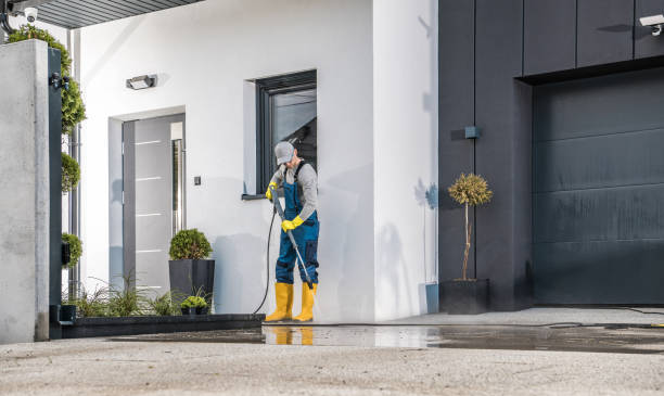 Best Residential House Exterior Washing  in Elwood, IL